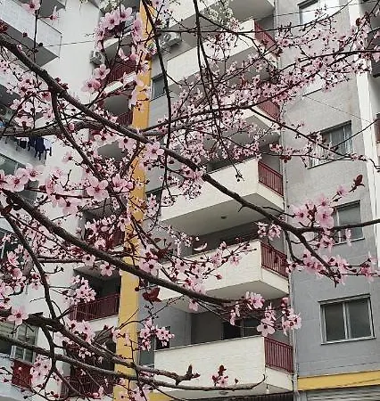 Apartament Relax Durres